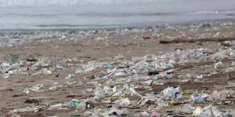 vivir sin plásticos: como afecta los océanos